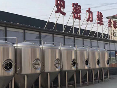 柏乡精酿啤酒设备厂—市场规模与跨界新需求